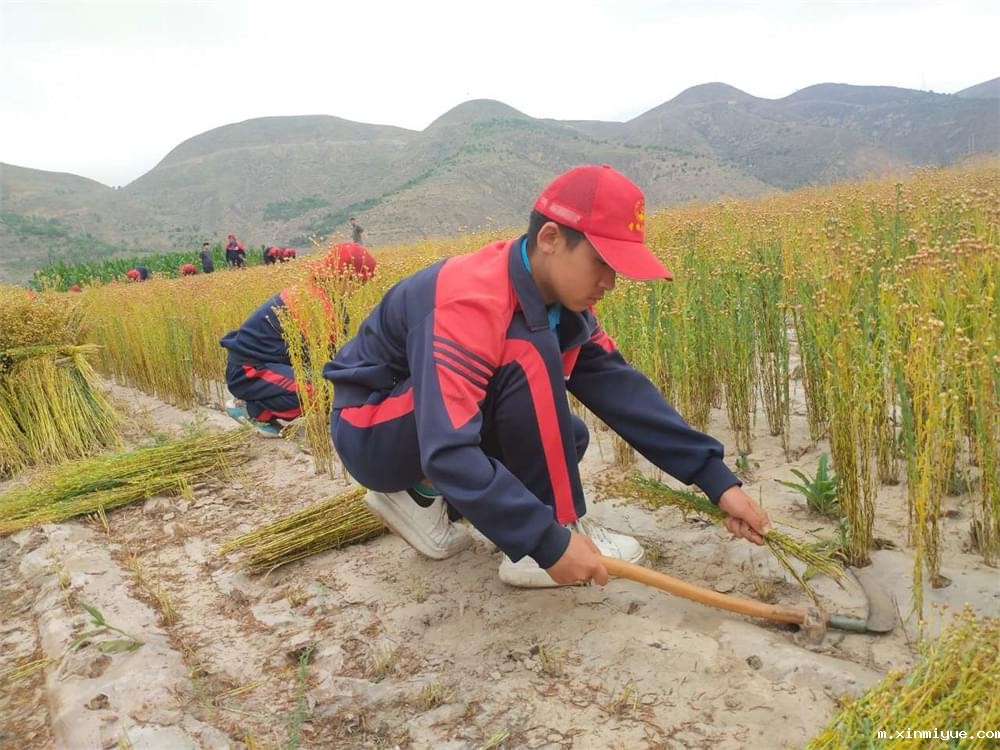 必威betway中文官网「2023年成长不烦恼」夏令营二期第12天:走进胡麻地 干农活话农事知农情 必威betway中文官网「2023年成长不烦恼」夏令营二期第12天:走进胡麻地 干农活话农事知农情_m.xinmiyue.com
