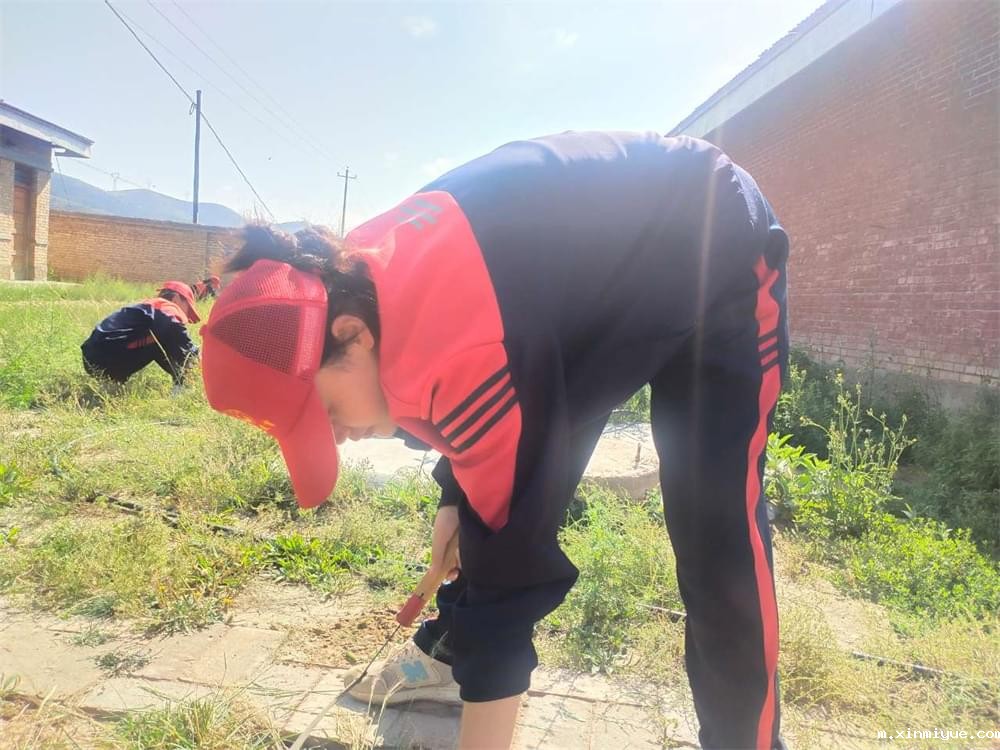 必威betway中文官网「2023年成长不烦恼」夏令营二期第12天:走进胡麻地 干农活话农事知农情 必威betway中文官网「2023年成长不烦恼」夏令营二期第12天:走进胡麻地 干农活话农事知农情_m.xinmiyue.com