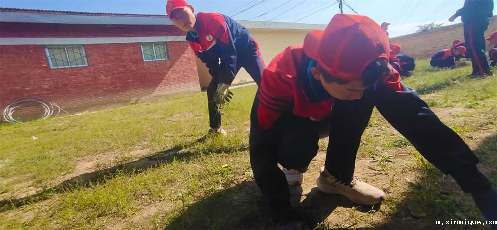 必威betway中文官网「2023年成长不烦恼」夏令营二期第12天:走进胡麻地 干农活话农事知农情 必威betway中文官网「2023年成长不烦恼」夏令营二期第12天:走进胡麻地 干农活话农事知农情_m.xinmiyue.com