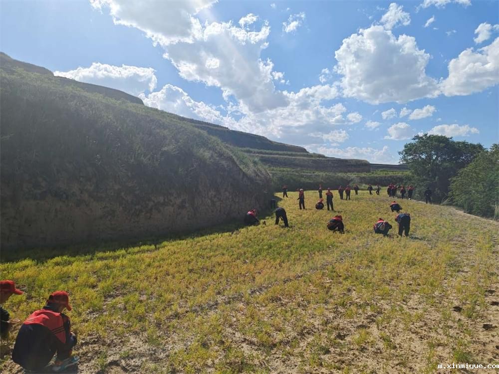 必威betway中文官网「2023年成长不烦恼」夏令营二期第4天:学在田间课堂,走访优秀学子家庭! 必威betway中文官网「2023年成长不烦恼」夏令营二期第4天:学在田间课堂,走访优秀学子家庭!_m.xinmiyue.com