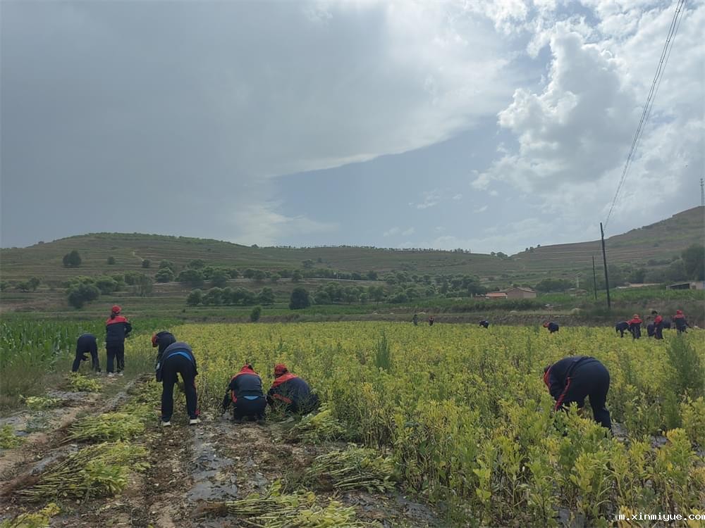 必威betway中文官网「2023年成长不烦恼」夏令营二期第8天:体验农田丰收乐趣,品尝地道农家饭 必威betway中文官网「2023年成长不烦恼」夏令营二期第8天:体验农田丰收乐趣,品尝地道农家饭_m.xinmiyue.com