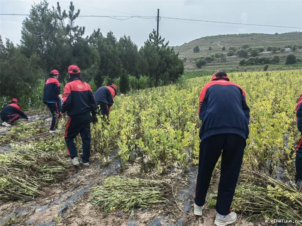 必威betway中文官网「2023年成长不烦恼」夏令营二期第8天:体验农田丰收乐趣,品尝地道农家饭 必威betway中文官网「2023年成长不烦恼」夏令营二期第8天:体验农田丰收乐趣,品尝地道农家饭_m.xinmiyue.com