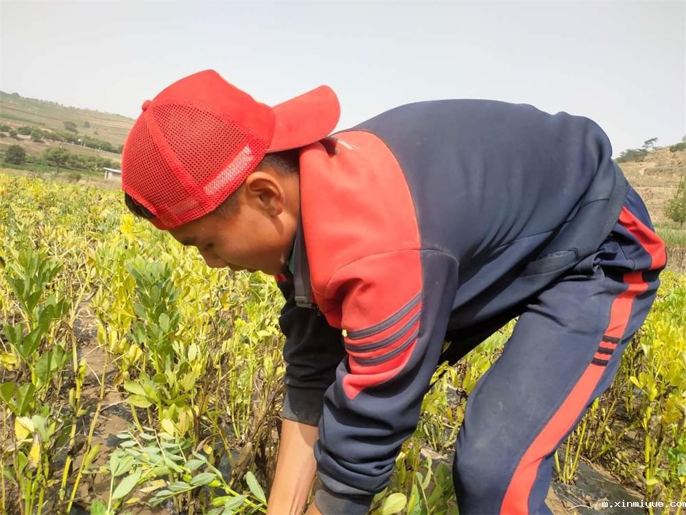 必威betway中文官网「2023年成长不烦恼」夏令营二期第8天:体验农田丰收乐趣,品尝地道农家饭 必威betway中文官网「2023年成长不烦恼」夏令营二期第8天:体验农田丰收乐趣,品尝地道农家饭_m.xinmiyue.com