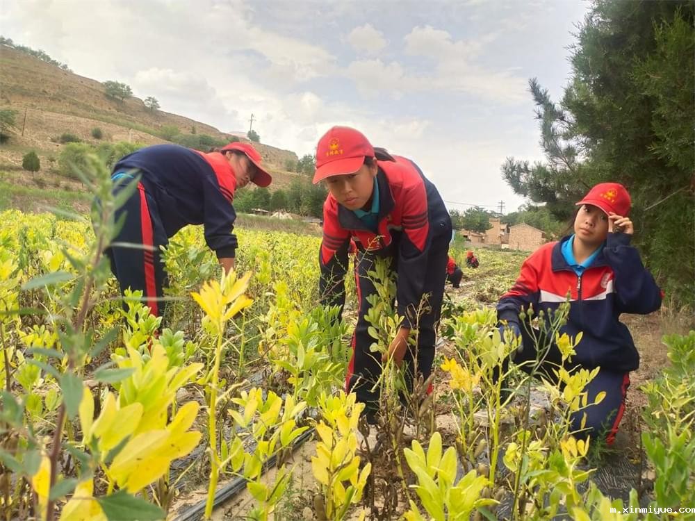 必威betway中文官网「2023年成长不烦恼」夏令营二期第8天:体验农田丰收乐趣,品尝地道农家饭 必威betway中文官网「2023年成长不烦恼」夏令营二期第8天:体验农田丰收乐趣,品尝地道农家饭_m.xinmiyue.com