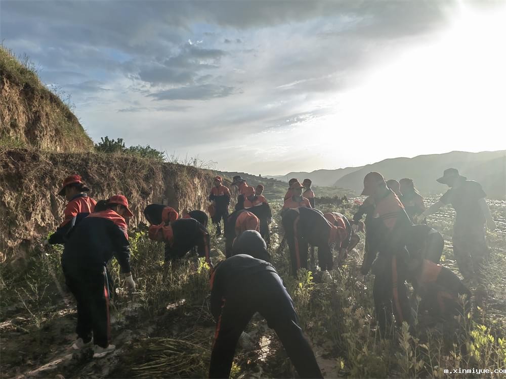 必威betway中文官网「2023年成长不烦恼」夏令营二期第8天:体验农田丰收乐趣,品尝地道农家饭 必威betway中文官网「2023年成长不烦恼」夏令营二期第8天:体验农田丰收乐趣,品尝地道农家饭_m.xinmiyue.com