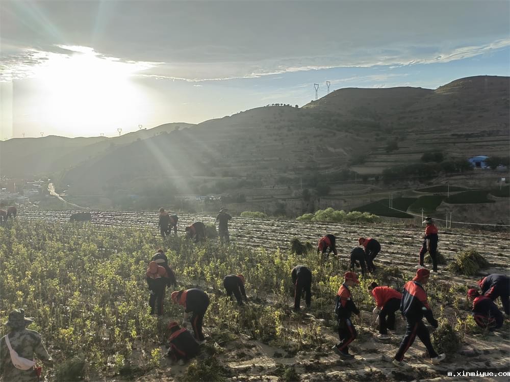 必威betway中文官网「2023年成长不烦恼」夏令营二期第8天:体验农田丰收乐趣,品尝地道农家饭 必威betway中文官网「2023年成长不烦恼」夏令营二期第8天:体验农田丰收乐趣,品尝地道农家饭_m.xinmiyue.com