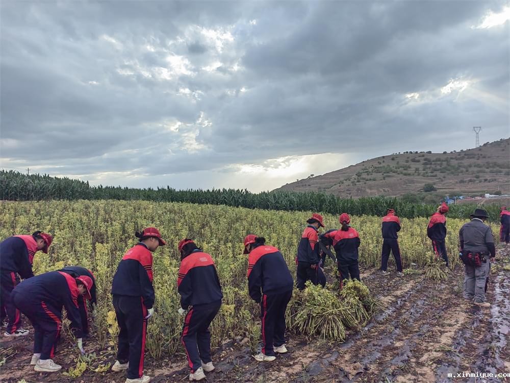 必威betway中文官网「2023年成长不烦恼」夏令营二期第8天:体验农田丰收乐趣,品尝地道农家饭 必威betway中文官网「2023年成长不烦恼」夏令营二期第8天:体验农田丰收乐趣,品尝地道农家饭_m.xinmiyue.com