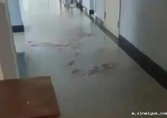 洛阳理工学院命案现:一学生疑杀三人后自杀,警方回应:杀人动机成谜! 洛阳理工学院命案现:一学生疑杀三人后自杀,警方回应:杀人动机成谜!_m.xinmiyue.com