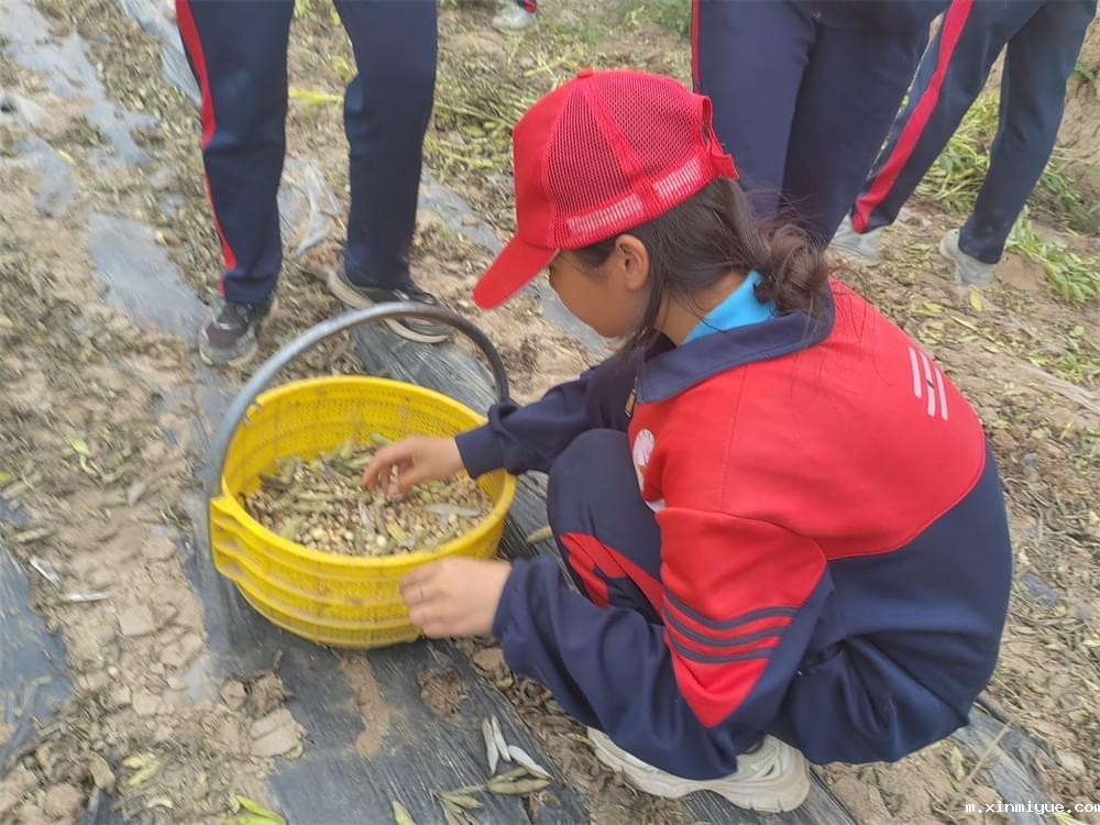 山区变形计夏令营:体验艰辛,铸就卓越成长之旅 山区变形计夏令营:体验艰辛,铸就卓越成长之旅_m.xinmiyue.com