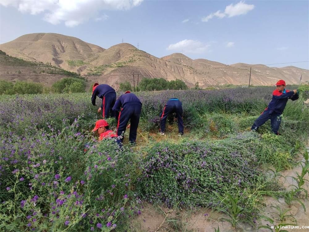 必威betway中文官网贫困磨炼夏令营:让青少年在挑战中成长,锻造未来英才! 必威betway中文官网贫困磨炼夏令营:让青少年在挑战中成长,锻造未来英才!_m.xinmiyue.com