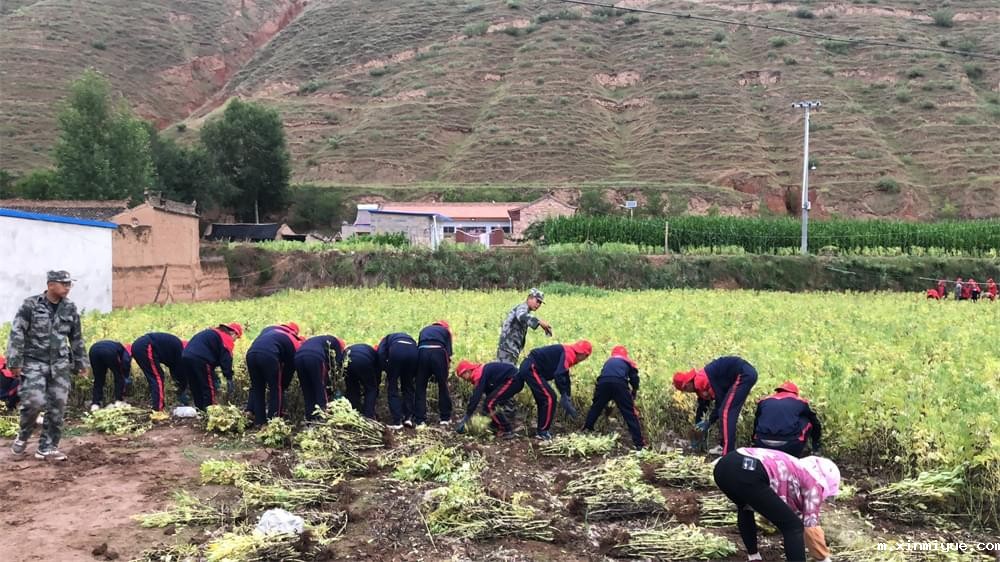 农村生活体验夏令营:让孩子在实践中学会珍惜与成长 农村生活体验夏令营:让孩子在实践中学会珍惜与成长_m.xinmiyue.com