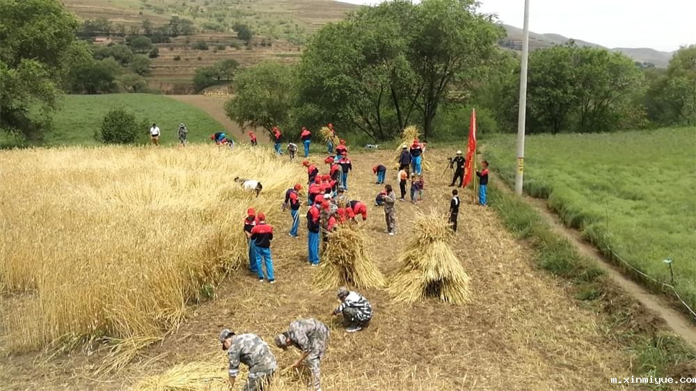 农村生活体验夏令营:让孩子们在田间地头领悟人生真谛 农村生活体验夏令营:让孩子们在田间地头领悟人生真谛_m.xinmiyue.com