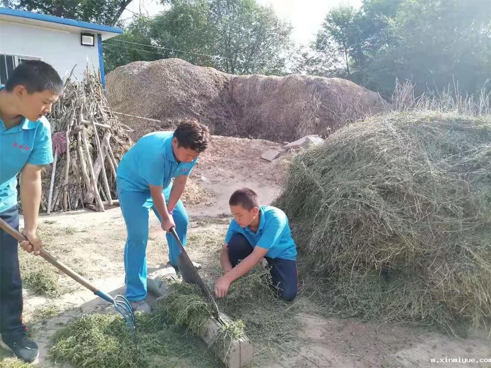 吃苦磨炼山村夏令营:现代青少年不可或缺的成长课堂 吃苦磨炼山村夏令营:现代青少年不可或缺的成长课堂_m.xinmiyue.com