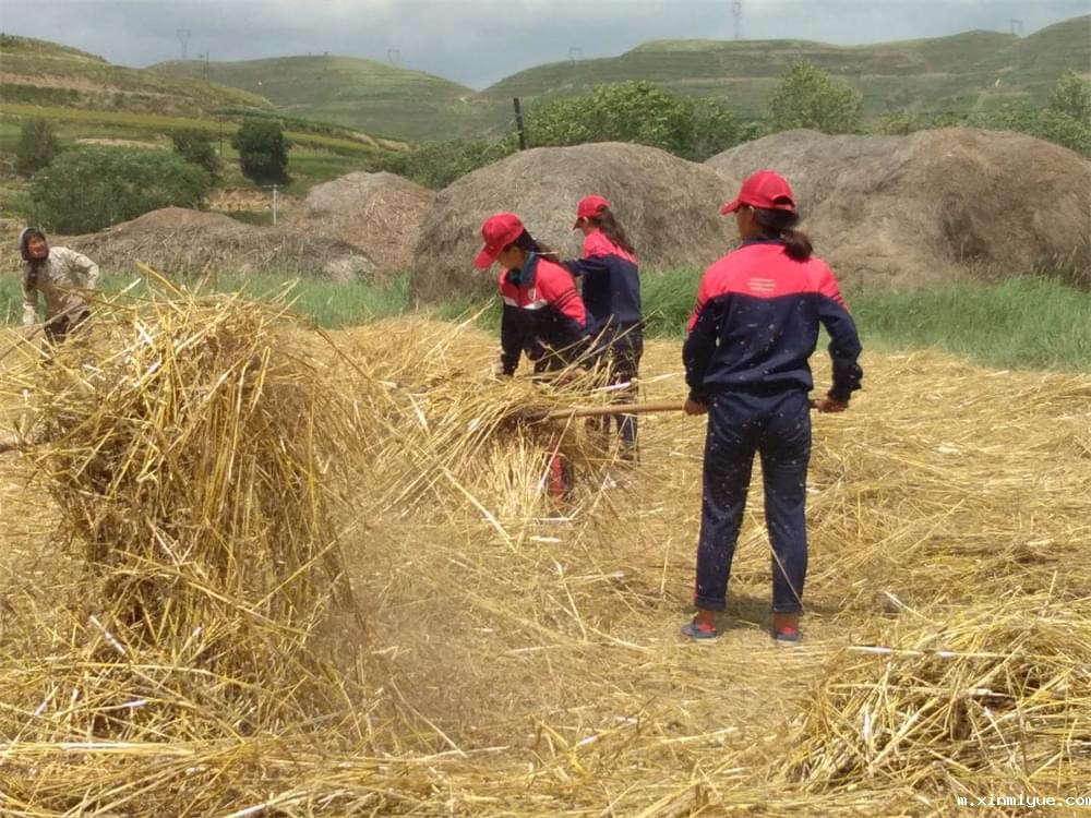 吃苦山村夏令营:让孩子在暑假中历练成长,收获非凡教育意义 吃苦山村夏令营:让孩子在暑假中历练成长,收获非凡教育意义_m.xinmiyue.com
