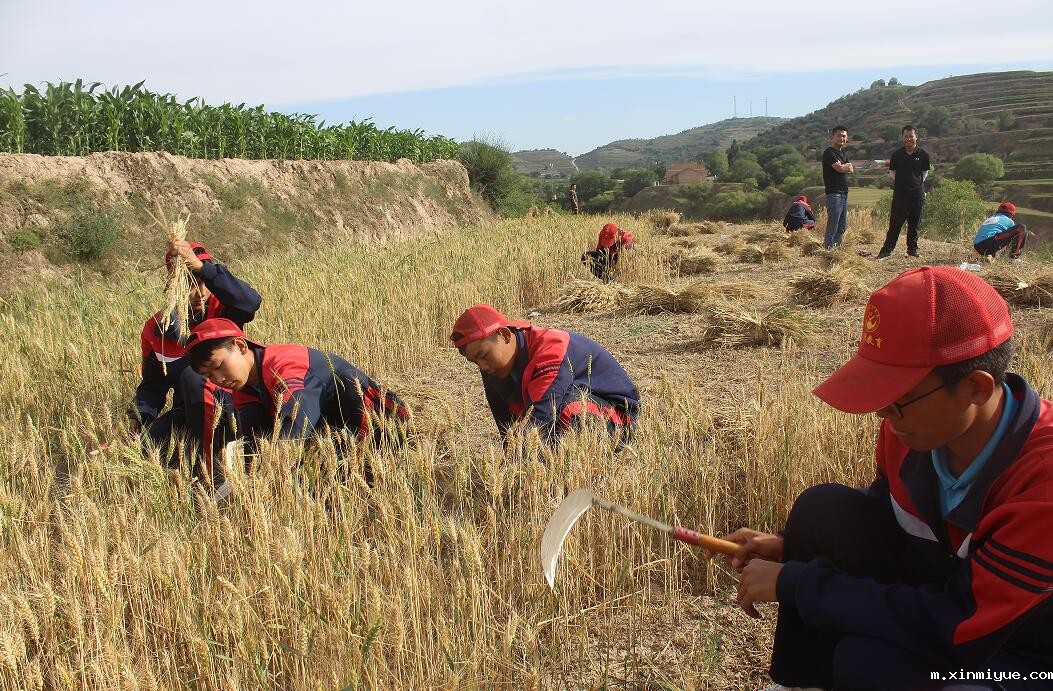 贫困山村夏令营:点燃希望之光,见证心灵与梦想的非凡成长之旅 贫困山村夏令营:点燃希望之光,见证心灵与梦想的非凡成长之旅_m.xinmiyue.com