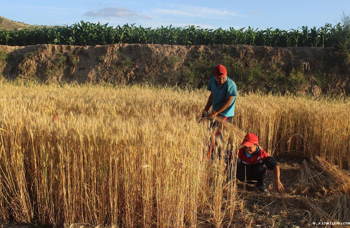 贫困山村夏令营:点燃希望之光,见证心灵与梦想的非凡成长之旅 贫困山村夏令营:点燃希望之光,见证心灵与梦想的非凡成长之旅_m.xinmiyue.com