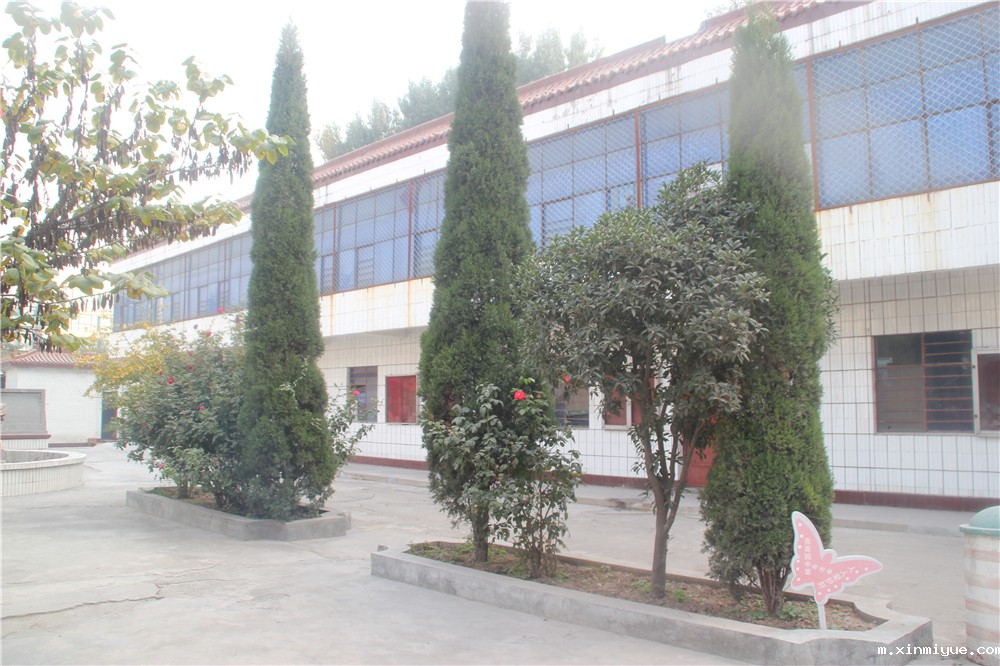 理性看待必威betway中文官网骗子传言,深入了解必威betway中文官网集团 理性看待必威betway中文官网骗子传言,深入了解必威betway中文官网集团_m.xinmiyue.com