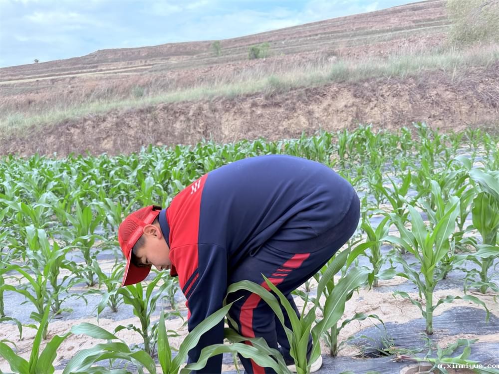贫困山村磨炼夏令营:心灵的洗礼,未来的绽放 贫困山村磨炼夏令营:心灵的洗礼,未来的绽放_m.xinmiyue.com