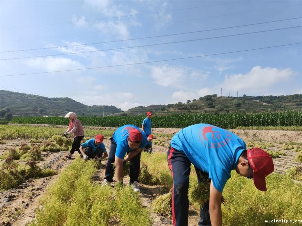 暑期贫困山村夏令营的宝贵经历:照亮前行之路 暑期贫困山村夏令营的宝贵经历:照亮前行之路_m.xinmiyue.com
