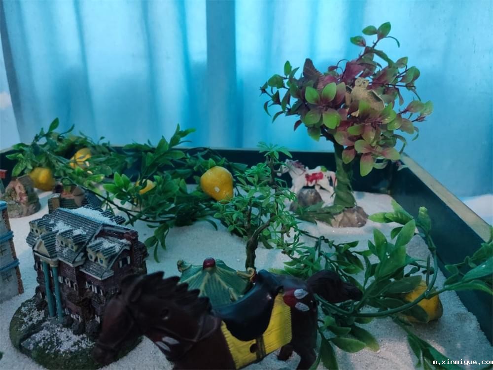 12岁孩子持刀弑母！孩子到底该如何管教？_m.xinmiyue.com