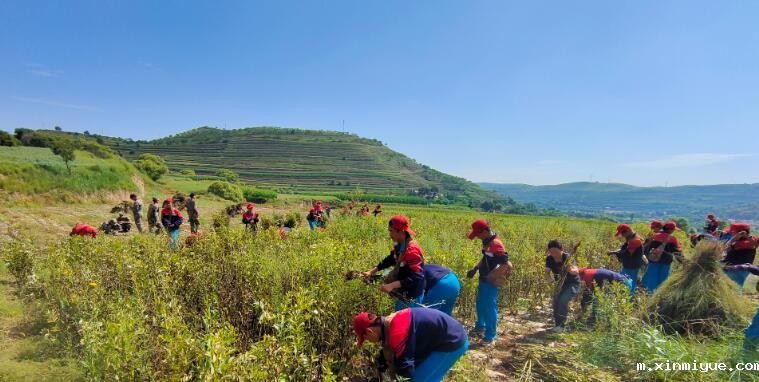 必威betway中文官网学校组织的夏令营都是干什么的？_m.xinmiyue.com