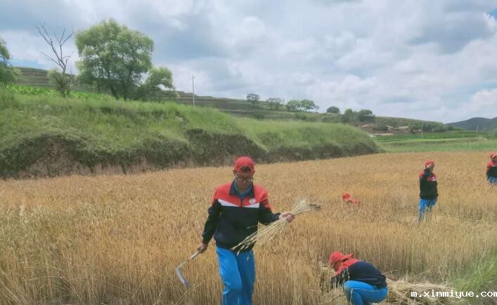 孩子去贫困区夏令营不安全？是真的吗？_m.xinmiyue.com