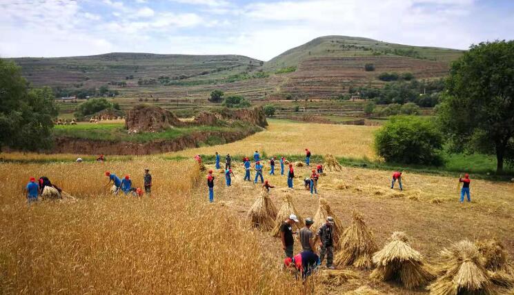 必威登录入口平台官网贫困山村夏令营的特点是什么？_m.xinmiyue.com