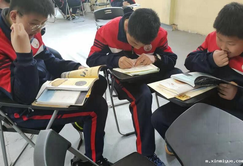 孩子为什么喜欢玩网络游戏？_m.xinmiyue.com