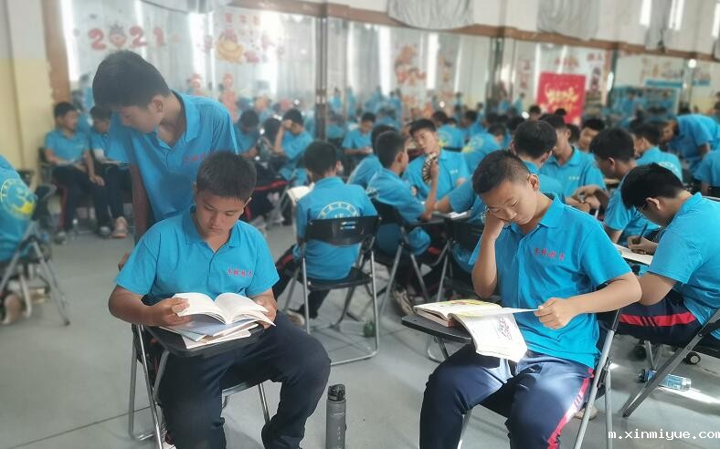 孩子沉迷手机不学习怎么办？_m.xinmiyue.com