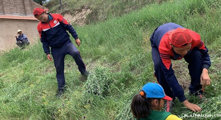 教育孩子的暑期夏令营有哪些？_m.xinmiyue.com