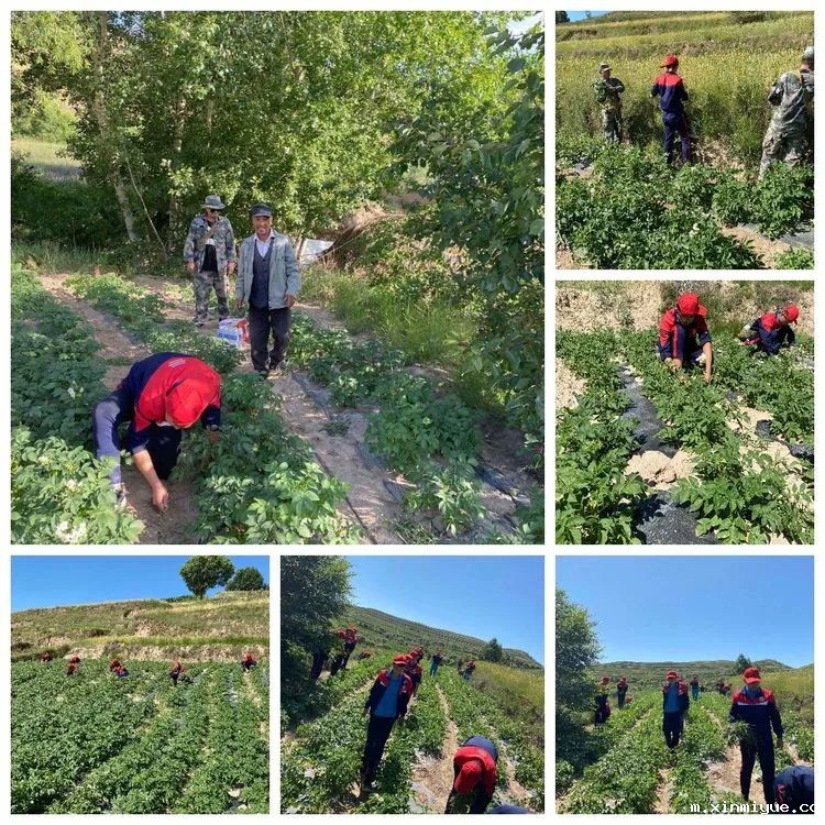 农村夏令营会让孩子有哪些改变,和贫困山区孩子一起体验_m.xinmiyue.com