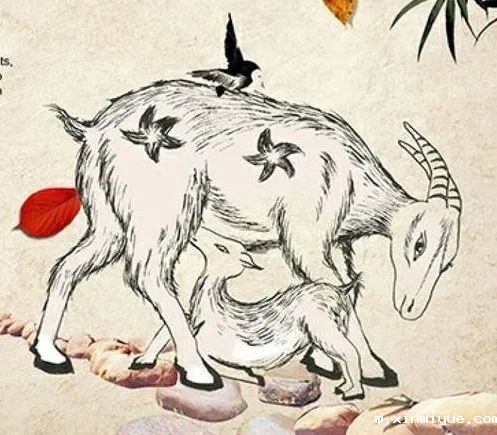 必威登录入口平台官网心理教育中心2021年4月大课堂：羚羊护子之母爱无私_m.xinmiyue.com