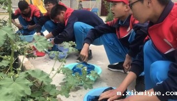 为什么孩子与父母之间的关系越来越疏远？