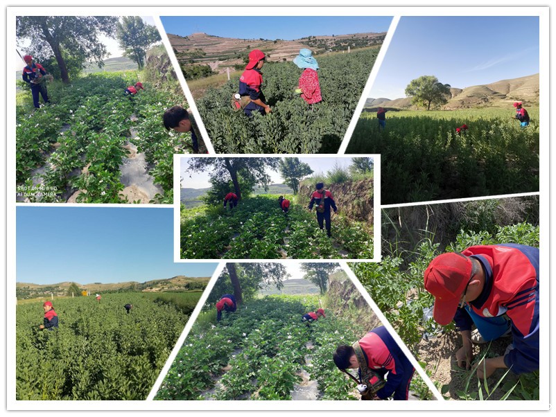 少年强则国强，2021年贫困山村夏令营助力孩子独立自主有毅力_m.xinmiyue.com