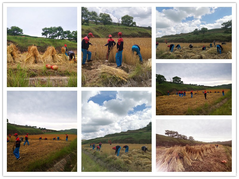 少年强则国强，2021年贫困山村夏令营助力孩子独立自主有毅力_m.xinmiyue.com