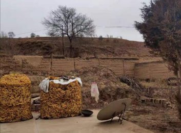 为什么开展必威登录入口平台官网公益这个活动呢？