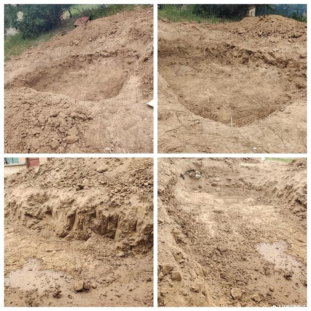 2021年必威betway中文官网「成长不烦恼」夏令营第三天之助农施肥、军训跑步过端午_m.xinmiyue.com