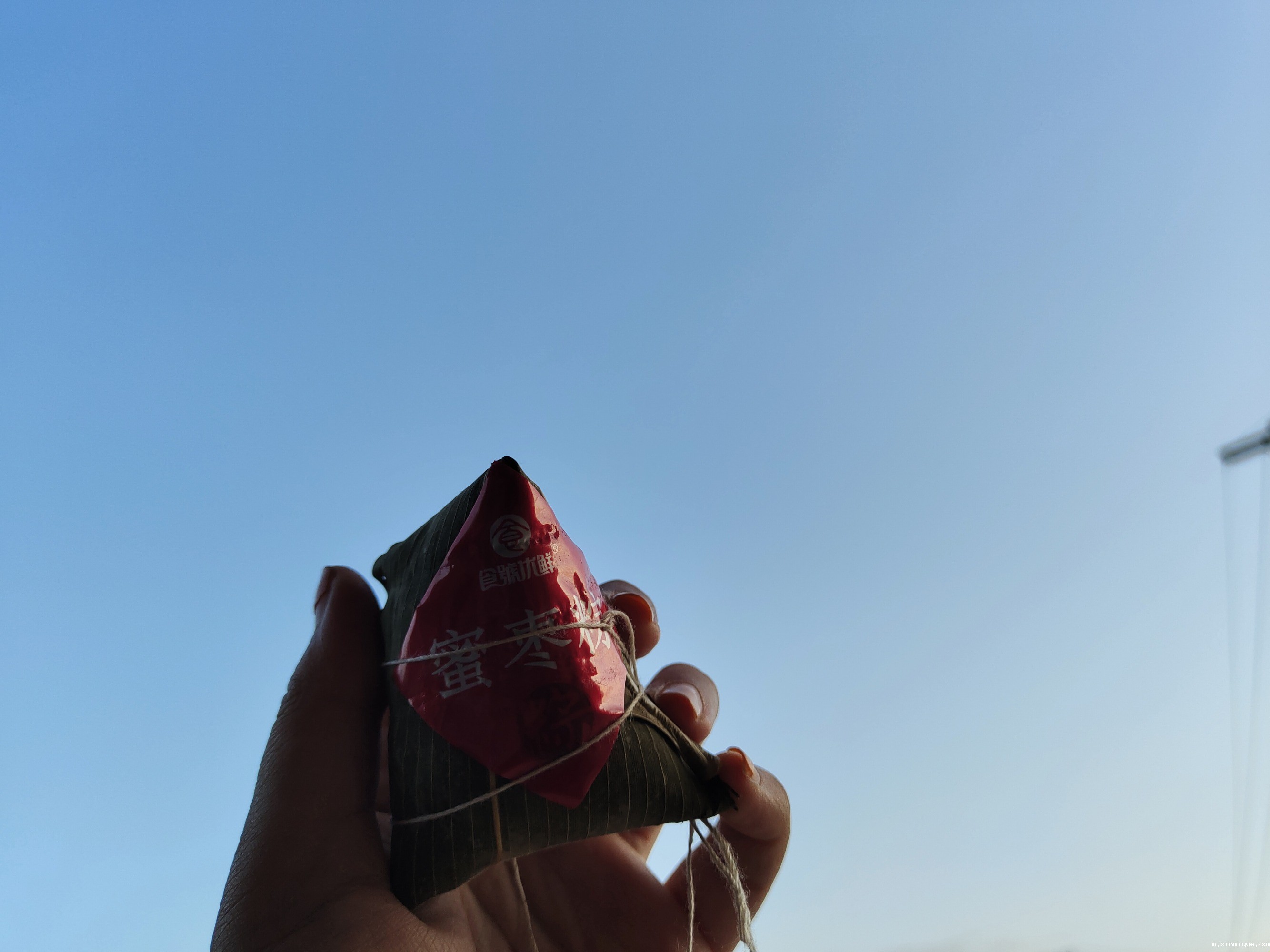 2021年必威betway中文官网「成长不烦恼」夏令营第三天之助农施肥、军训跑步过端午_m.xinmiyue.com