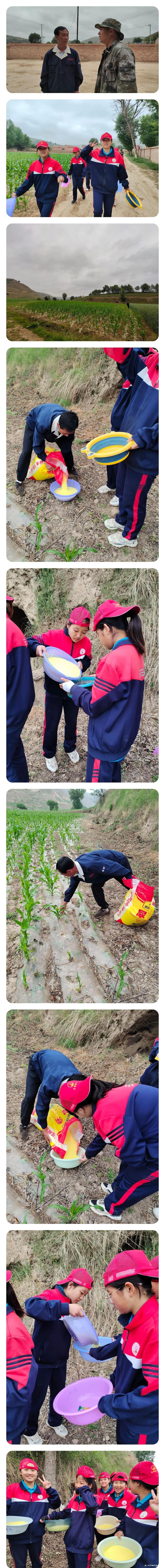 2021年必威betway中文官网「成长不烦恼」夏令营第三天之助农施肥、军训跑步过端午_m.xinmiyue.com