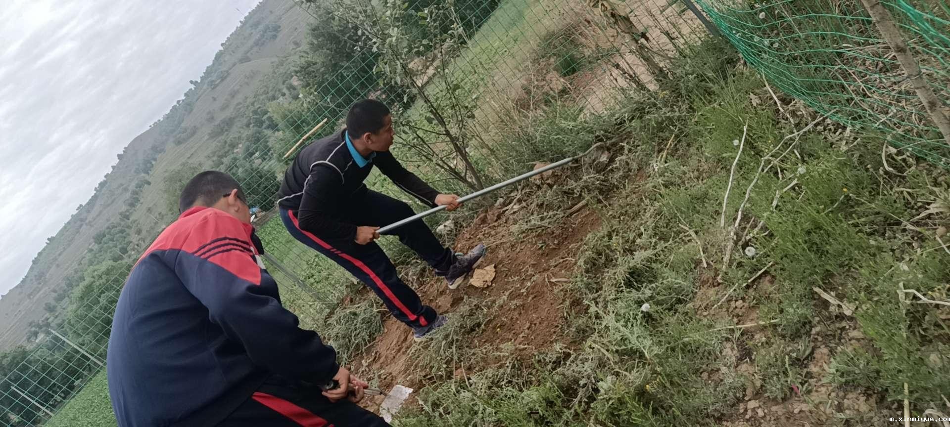 2021年必威betway中文官网「成长不烦恼」夏令营第八天之干农家活吃农家饭_m.xinmiyue.com