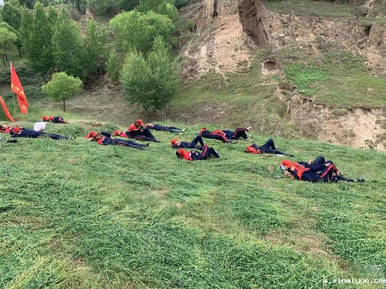 2021年必威betway中文官网「成长不烦恼」夏令营第九天之为何山村的农民偏爱苜蓿草_m.xinmiyue.com