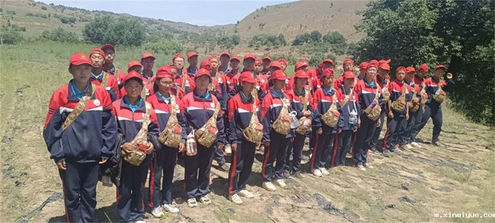 2021年必威betway中文官网「成长不烦恼」夏令营第十天之搬运苜蓿草及玉米地里除杂草_m.xinmiyue.com