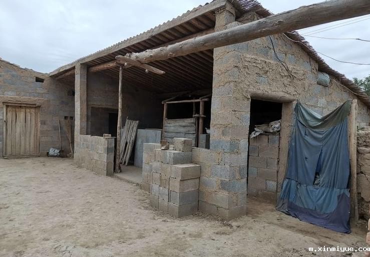 2021年必威betway中文官网「成长不烦恼」夏令营入住第九组之体验带娃的感觉_m.xinmiyue.com