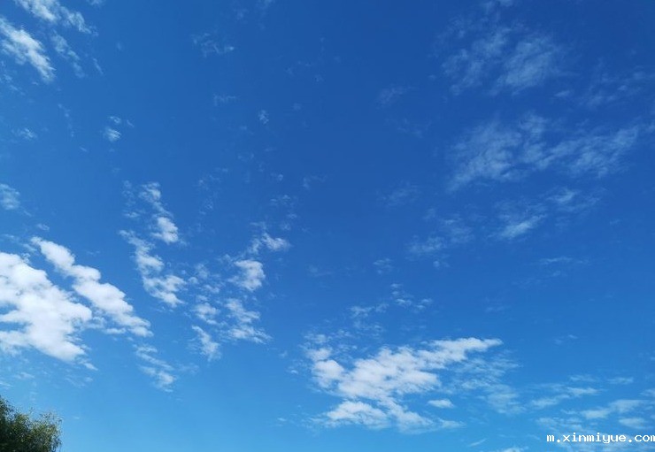 2021年必威betway中文官网「成长不烦恼」夏令营入住第九组之体验带娃的感觉_m.xinmiyue.com