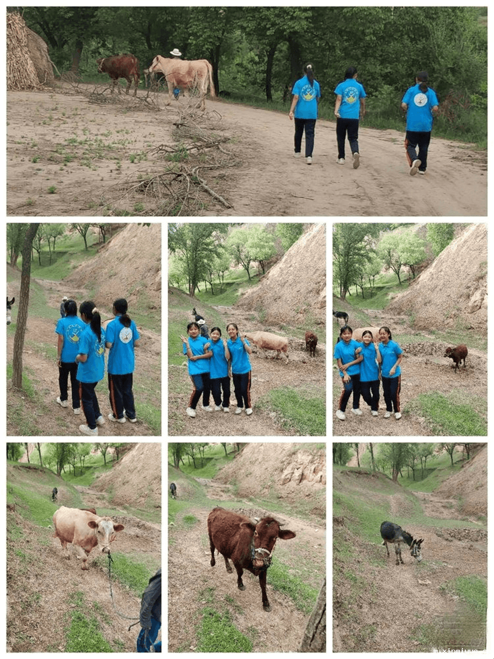 2021年必威betway中文官网暑期夏令营之入住第五组体验两天一夜的农家生活_m.xinmiyue.com