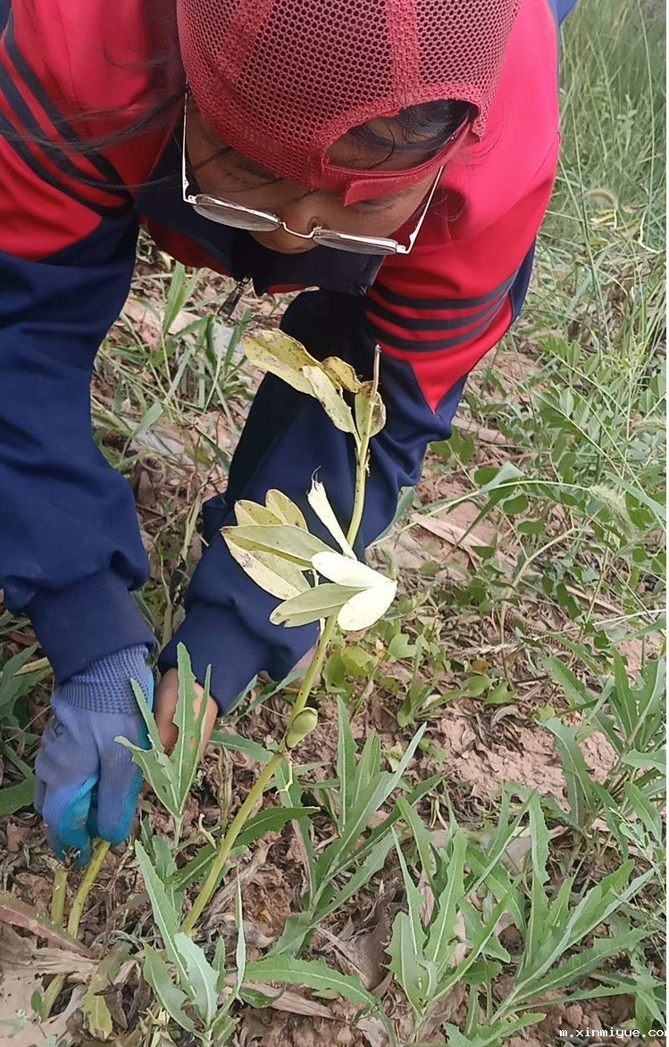 2021年必威betway中文官网夏令营第三期第17天：纸上得来终觉浅，绝知此事要躬行_m.xinmiyue.com