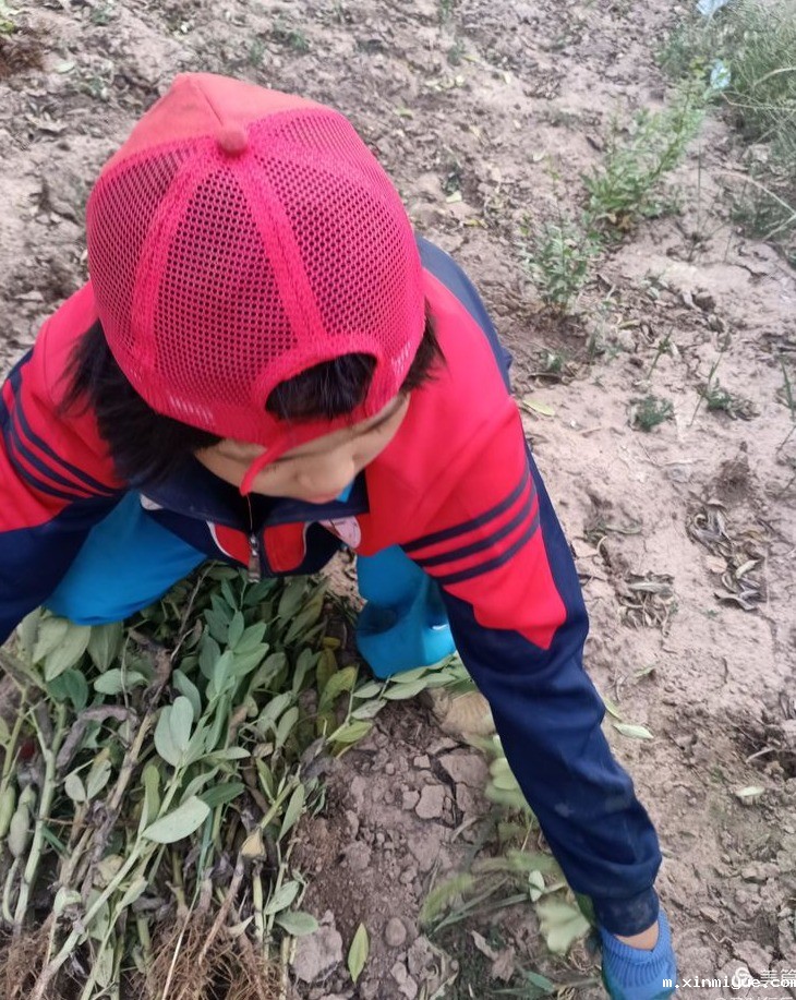 2021年必威betway中文官网夏令营第三期第17天：纸上得来终觉浅，绝知此事要躬行_m.xinmiyue.com