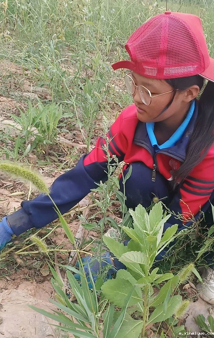 2021年必威betway中文官网夏令营第三期第17天：纸上得来终觉浅，绝知此事要躬行_m.xinmiyue.com