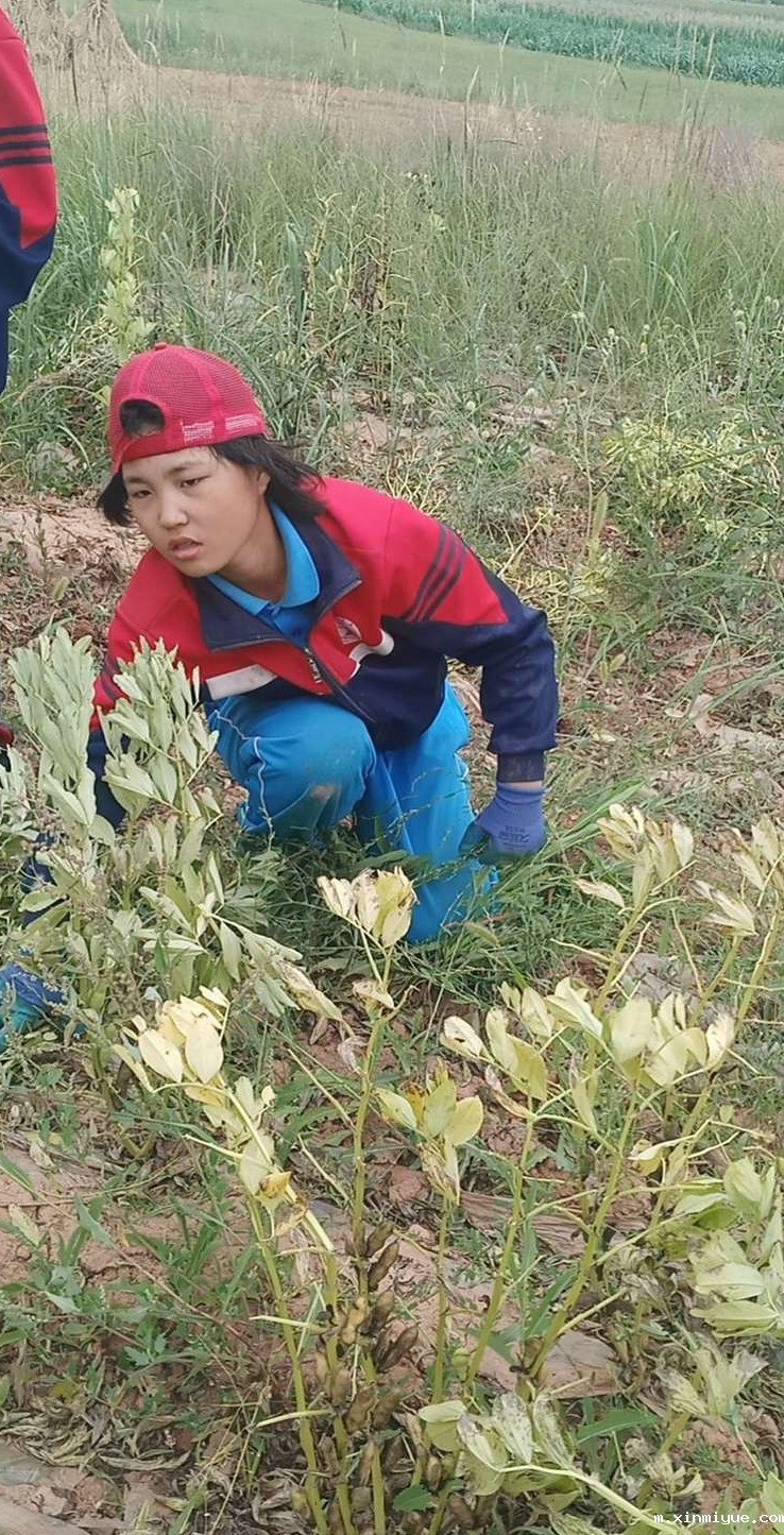 2021年必威betway中文官网夏令营第三期第17天：纸上得来终觉浅，绝知此事要躬行_m.xinmiyue.com