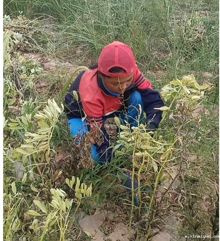 2021年必威betway中文官网夏令营第三期第17天：纸上得来终觉浅，绝知此事要躬行_m.xinmiyue.com